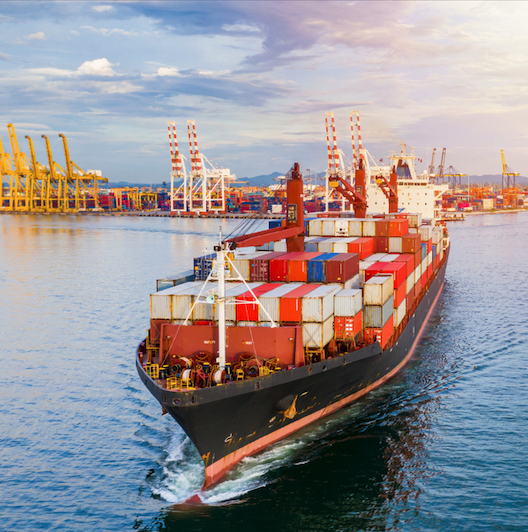 Import and Export